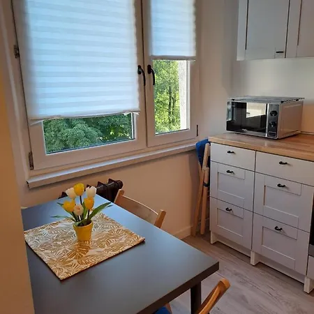 Ligocka Katowice. Apartment *